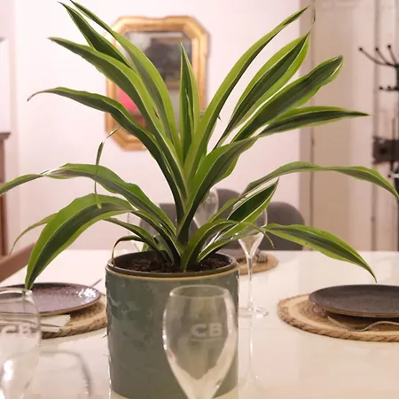 Grandma's Apartman