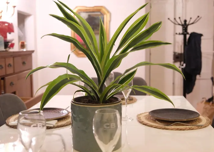Grandma's Apartmán